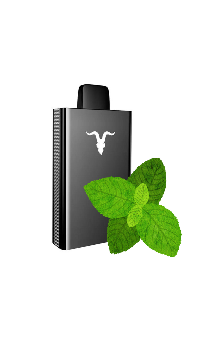 IGNITE V50 5000 PUFFS MENTHOL