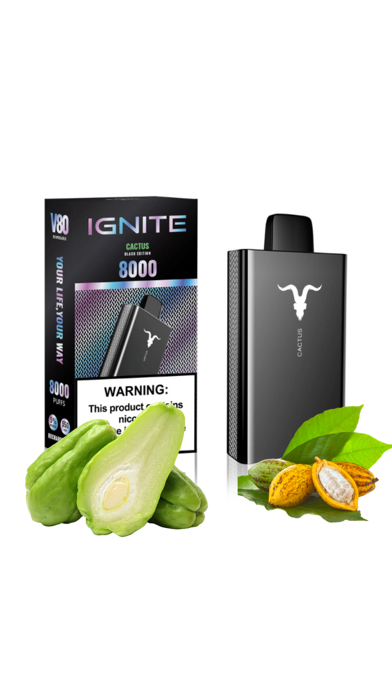 IGNITE V80 8000 PUFFS CACTUS