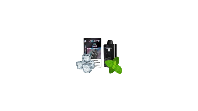 IGNITE V80 8000 PUFFS ICY MINT